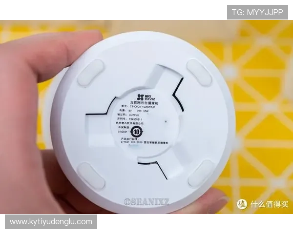 新用户指南：开云平台登录步骤详尽说明